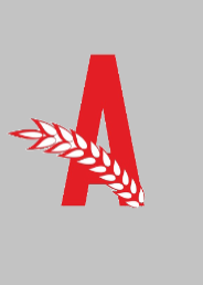 Астыкжан
